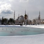 Estambul: algunos lo llaman caos, nosotros la llamamos casa.