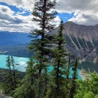 BANFF: EL CENTRO NEURÁLGICO DE LAS ROCOSAS